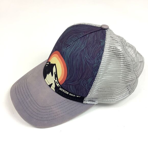 Jackson Hole Wyoming WY Trucker Hat Cap Snapback Cap Gray Mesh Multicolor Duckco - Picture 2 of 9